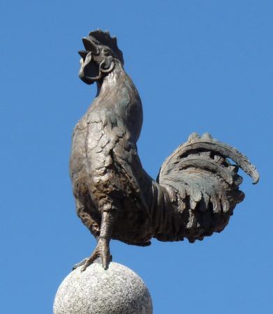 Montbrison : le coq du monument des combattants