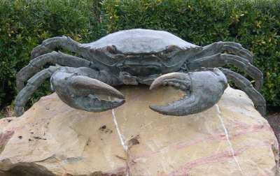 Crabe géant : Palavas