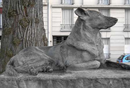 Ren Paris : Le chien-loup