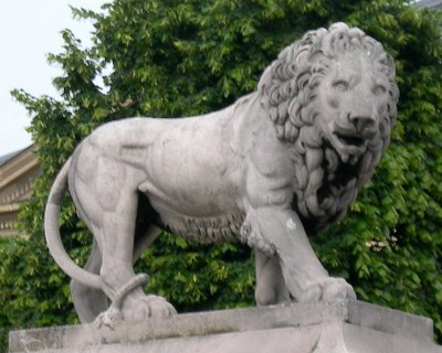 Guiseppe Franchi : Lion